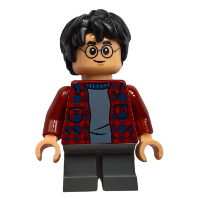 HARRY POTTER - LEGO HARRY POTTER MINIFIGURE (hp143)  - 1