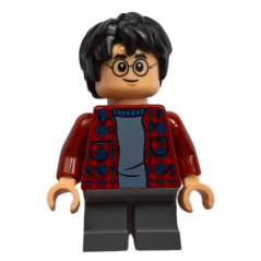 HARRY POTTER - MINIFIGURA LEGO HARRY POTTER (hp143)  - 1