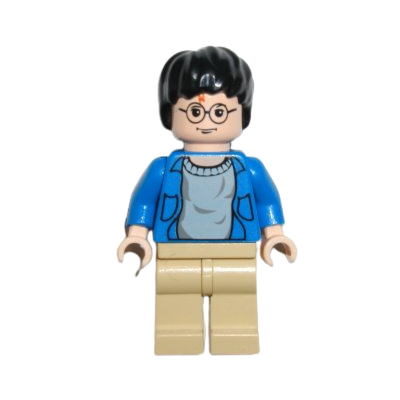 HARRY POTTER - LEGO HARRY POTTER MINIFIGURE (hp059)  - 1